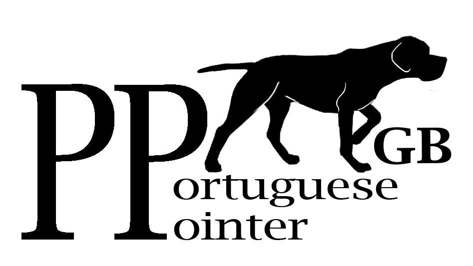 Portuguese Pointers of Great Britain