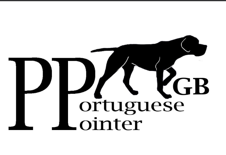 Portuguese Pointers Of Great Britain  